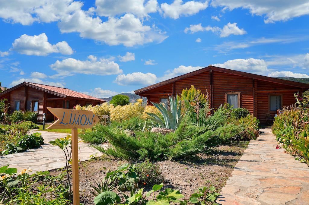 Hayitbuku Ahsapevleri Guest House Mesudiye  Exterior photo
