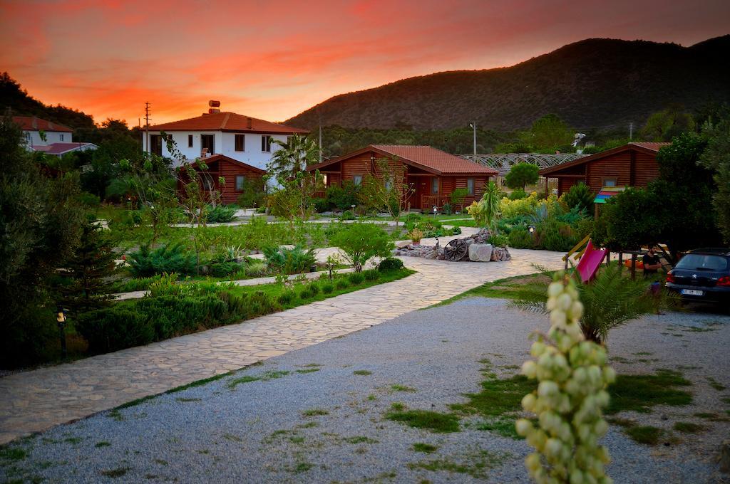 Hayitbuku Ahsapevleri Guest House Mesudiye  Exterior photo