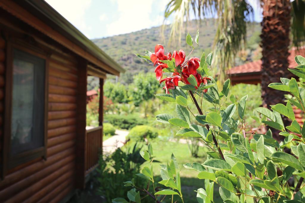 Hayitbuku Ahsapevleri Guest House Mesudiye  Exterior photo